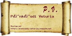 Pünkösdi Veturia névjegykártya